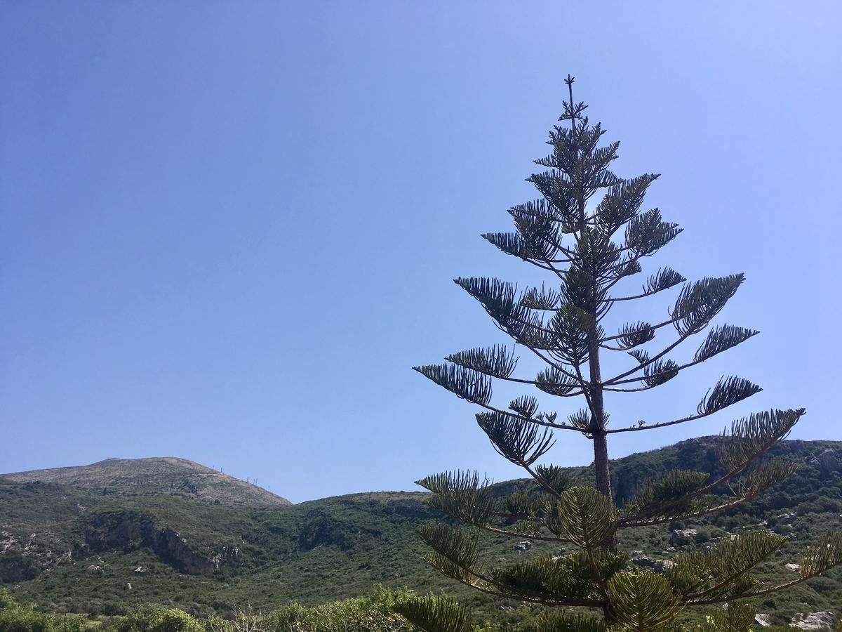 Alegria Kefalonia Katelios Esterno foto
